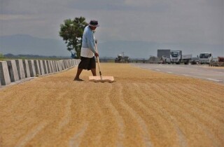 Philippines áp giá trần gạo có thể ảnh hưởng đến nông dân và người tiêu dùng nội địa