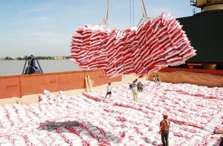 Xuất khẩu gạo tăng hơn 40% về lượng và giá trị