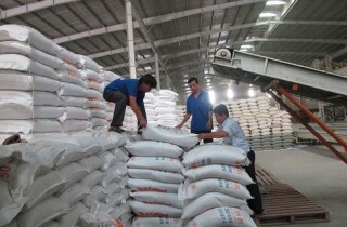 Dự báo xuất khẩu gạo sẽ đạt khoảng 6,3-6,5 triệu tấn trong năm 2022