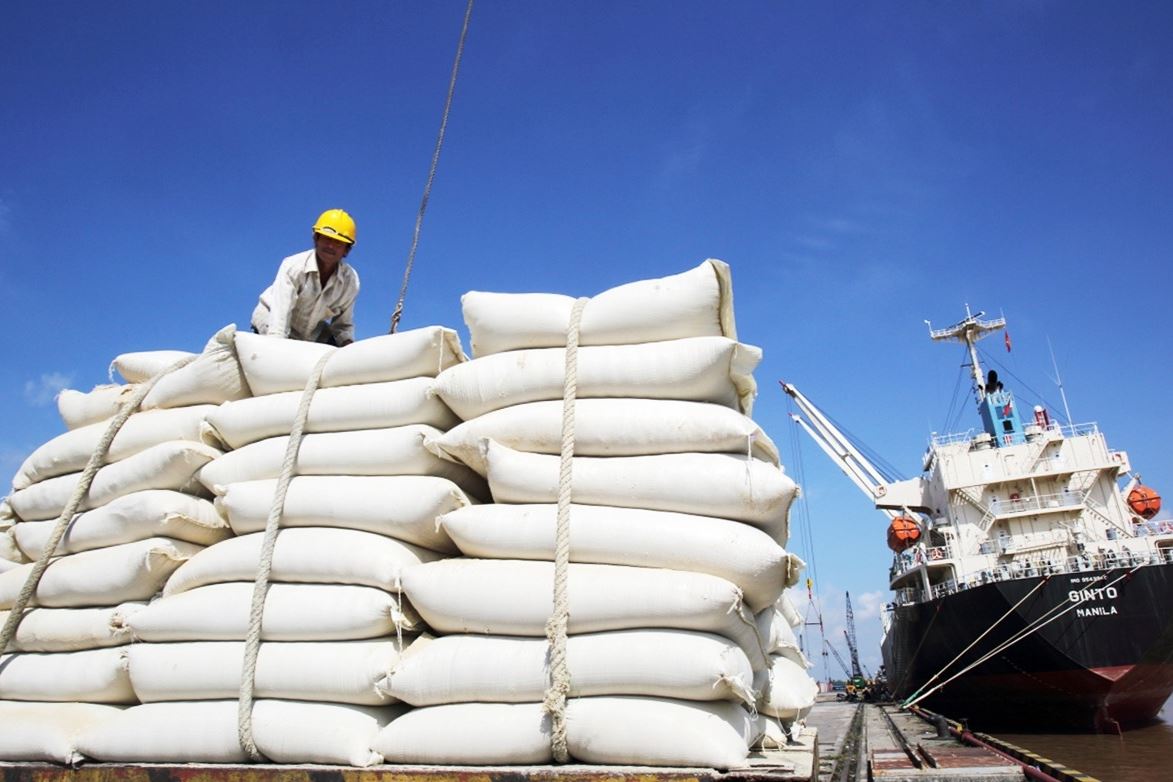 BSC: Xuất khẩu gạo của Việt Nam có thể tăng về lượng và giá nhưng khó đột biến