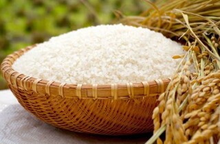 Thủ tướng yêu cầu 3 Bộ tìm giải pháp ổn định thị trường lúa gạo trước động thái cấm xuất khẩu của Ấn Độ