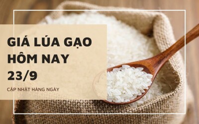 Giá lúa gạo hôm nay 23/9: Thị trường chững lại trong phiên giao dịch cuối tuần