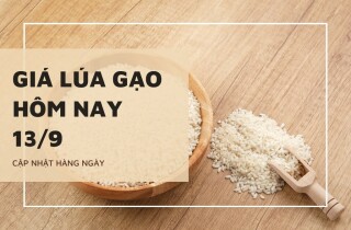 Giá lúa gạo hôm nay 13/9: Các mặt hàng chững lại