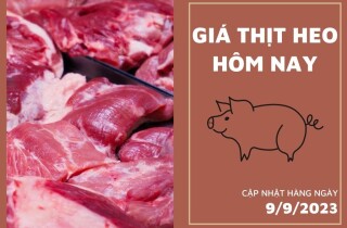 Giá thịt heo hôm nay 9/9: Ba rọi heo giảm đến 20.000 đồng/kg tại Công ty Thực phẩm bán lẻ