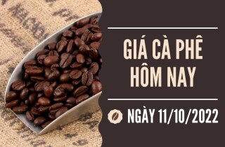 Giá cà phê hôm nay 11/10: Đắk Lắk tăng 100 đồng/kg, các tỉnh khác có giá đi ngang