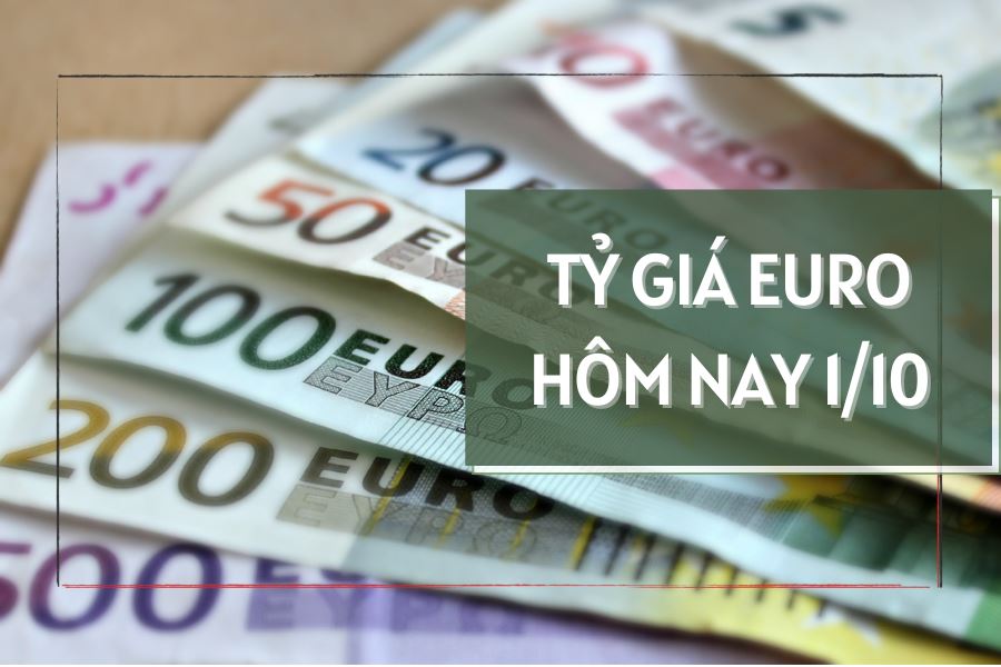 Tỷ giá euro hôm nay 1/10: Nhiều ngân hàng điều chỉnh giảm