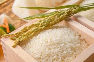 BSC: Xuất khẩu gạo năm 2023 đứng trước áp lực cạnh tranh và chi phí đầu vào cao
