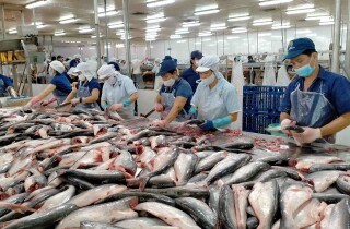 Trung Quốc mở cửa biên giới, cơ hội 'vàng' cho doanh nghiệp thủy sản trong năm 2023