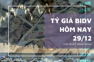 Tỷ giá BIDV hôm nay 29/12: Các đồng ngoại tệ tăng giảm không đồng nhất