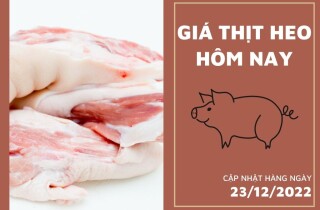 Giá thịt heo hôm nay 23/12: Đuôi heo ổn định tại mức 117.000 đồng/kg