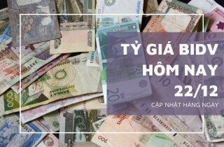 Tỷ giá BIDV hôm nay 22/12: Các đồng ngoại tệ tăng giảm không đồng nhất