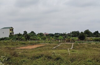 Sắp đấu giá gần 100 lô đất tại ba huyện ngoại thành Hà Nội
