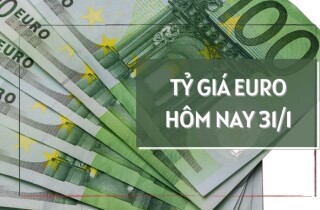 Tỷ giá euro hôm nay 31/1: Các ngân hàng điều chỉnh giảm đồng loạt