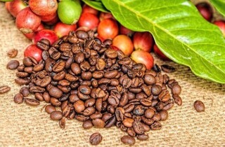 Giá cà phê có thể phục hồi trở lại do nguồn cung hạn chế
