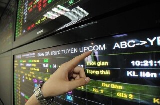 Cổ phiếu TTZ bị hủy niêm yết HNX, đình chỉ khi vừa về UPCoM