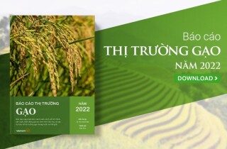 [Báo cáo] Thị trường gạo năm 2022: Một năm viên mãn cho xuất khẩu gạo của Việt Nam
