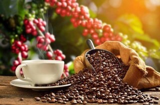 Xuất khẩu cà phê giảm nhưng giá phục hồi mạnh