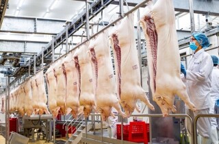 Cục Thú Y: Lào ngừng nhập khẩu thịt heo không ảnh hưởng lớn đến tiêu thụ trong nước