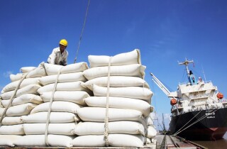 Xuất khẩu gạo sang Indonesia tăng đột biến 30.355%, Bộ Công Thương cảnh báo rủi ro