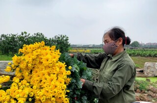 Một startup nông nghiệp Việt huy động 5 triệu USD: Có lãi sau một năm, doanh thu cả triệu đô