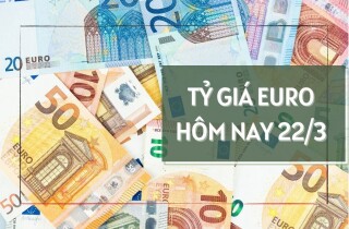 Tỷ giá euro hôm nay 22/3: Giảm trở lại tại các ngân hàng