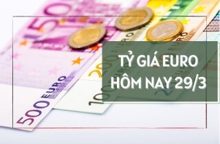 Tỷ giá euro hôm nay 29/3: Nhiều ngân hàng điều chỉnh tỷ giá giảm