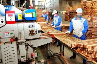 Biên lợi nhuận gộp ngành gỗ năm có 2023 có thể giảm do giá bán trung bình thấp hơn năm ngoái