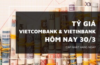 Tỷ giá Vietcombank và VietinBank hôm nay 30/3: USD, euro trái chiều