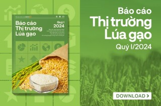 [Báo cáo] Thị trường gạo quý I/2024: Xuất khẩu gạo thiết lập kỷ lục mới