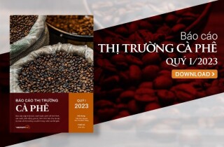 [Báo cáo] Thị trường cà phê quý I/2023: Giá cà phê tiến dần đến mức kỷ lục