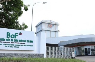BaF Việt Nam lên kế hoạch lãi 306 tỷ đồng, nâng gấp đôi công suất nuôi heo