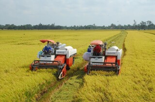 Đơn hàng cấp tập, xuất khẩu gạo năm 2023 có thể thiết lập kỷ lục mới?