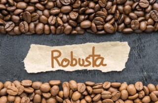 Đà tăng giá cà phê robusta có thể dịu lại trong tháng 5
