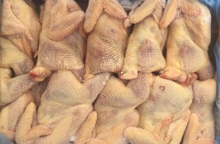 Cục Thú y lên tiếng trước thông tin gà thải loại nhập khẩu vào Việt Nam
