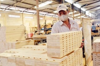 Xuất khẩu gỗ lao dốc 31% xuống 3,9 tỷ USD trong 4 tháng