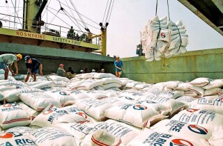 Xuất khẩu gạo thiết lập kỷ lục mới, mang về 1,5 tỷ USD chỉ sau 4 tháng