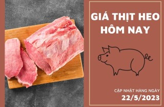 Giá thịt heo hôm nay 22/5: Đồng loạt tăng 2.000 đồng/kg tại Công ty Thực phẩm bán lẻ