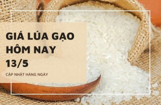 Giá lúa gạo tăng từ 100 đồng/kg đến 1.000 đồng/kg trong ngày 13/5