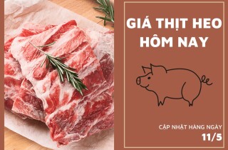 Đầu phiên 11/5, giá thịt heo tăng từ 2.000 đồng/kg đến 5.000 đồng/kg tại Hà Hiền